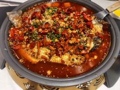 -锦尚阁烤鱼(望京新荟城店)