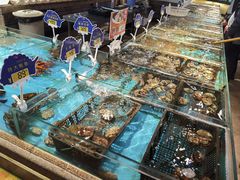 -渔公码头·九龙湾国际饭店
