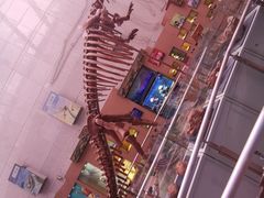 -陕西自然博物馆