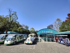 -上海海湾国家森林公园