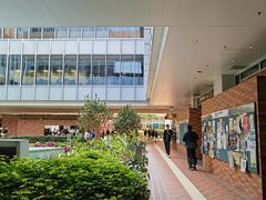 -香港大学