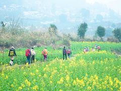 -樱桃山旅游景区