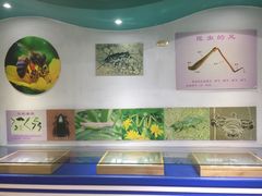 -上海昆虫博物馆