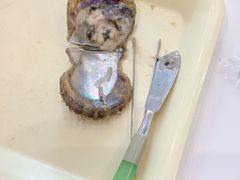 -西海国立公园九十九岛水族馆