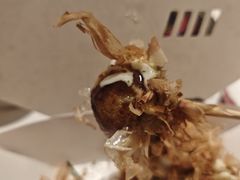 -西树泡芙(秦皇岛茂业天地店)