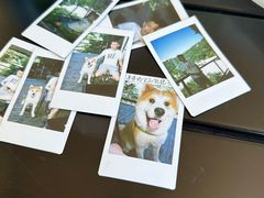 -北京山里寒舍度假酒店