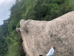 -大岭沟猕猴桃谷风景区