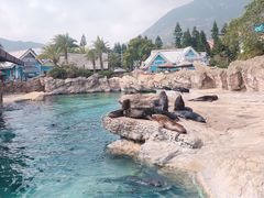 -珠海长隆海洋王国