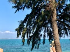 -三亚西岛海洋文化旅游区