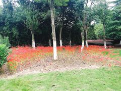 -白塘生态植物园