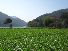 -广州市石门国家森林公园