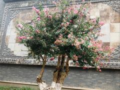 -龙潭水乡
