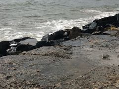 -东戴河风景区-止锚湾