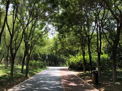 -大兴滨河森林公园