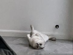 -大玩家(拱墅万达店)