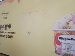 -哈根达斯(龙湖时代天街店)