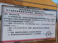 -金塔沙漠胡杨林景区
