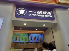门面-一只酸奶牛(八一路店)