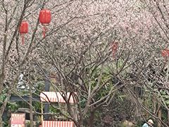-桃花涧