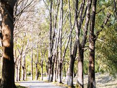 -长白岛森林公园