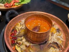 -菌自由丨野生菌火锅特色庭院餐厅(丽江古城店)