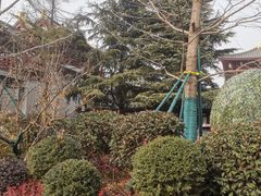 -唐御宴•御宴宫•唐代菜点(芙蓉西路店)