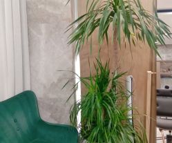 -IN STYLE·全国形象店