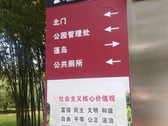 -堤角公园