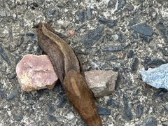 -东天目山风景区