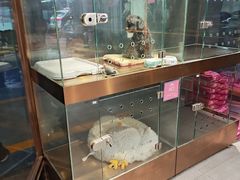 -FAELING PETS美天灵宠物(富力广场店)
