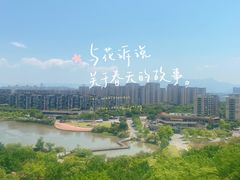 -飞凤山奥体公园