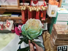 -弗劳尔花艺坊(龙涛店)