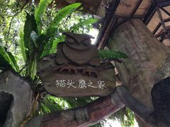 -青青世界