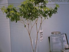 -花沐 FLOWER BATH(凤凰城店)
