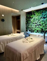 -VELEE·SPA高定疗愈会所