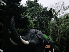 -野象谷景区