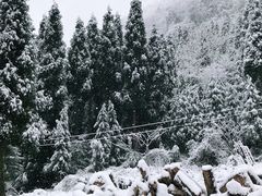 景点-九峰山