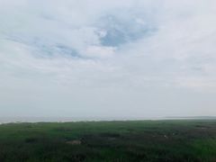 -碧海金沙