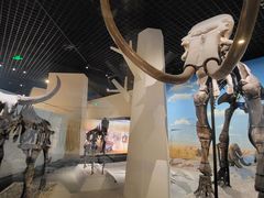 -国家自然博物馆