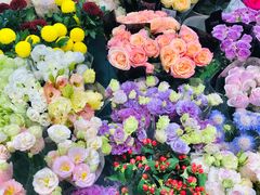 -双季花艺园艺市场(浦东店)