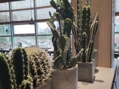 -蜜桃餐厅·伴山(湖滨商业街店)