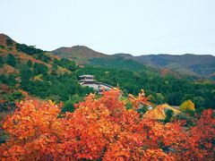 -香山公园