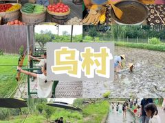 -乌村