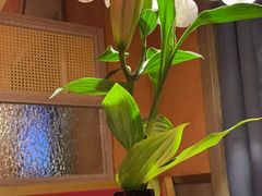 -泰果东南亚餐厅(旭辉广场店)