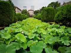 -四川大学(华西校区)