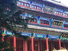 -武陵山森林公园
