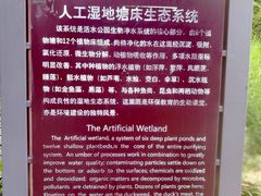 -成都市活水公园