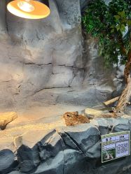 -Zoolung Zoolung动物主题公园(海信广场店)