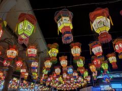 -锦江乐园舞狸花花游园会(夜场专享)