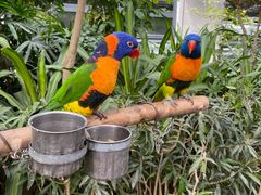 -南宫五洲植物乐园